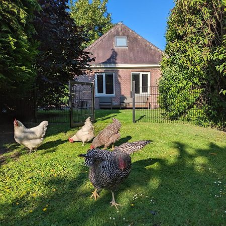 Boutique B&B Villa Van Voss Etten-Leur Luaran gambar