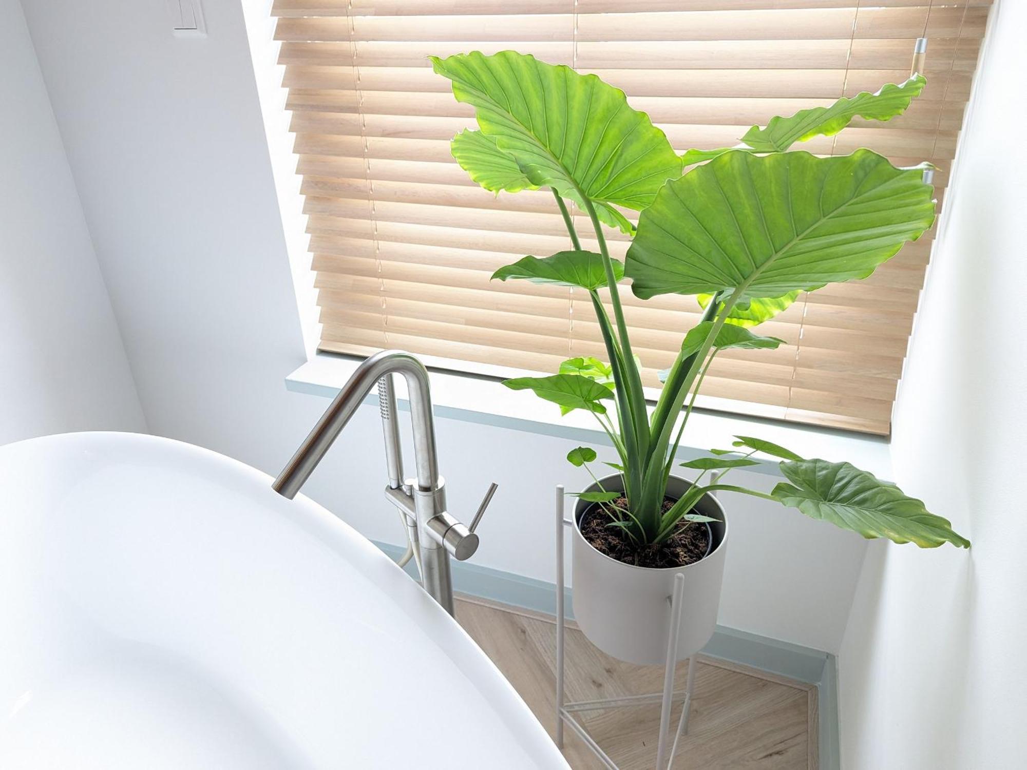 Boutique B&B Villa Van Voss Etten-Leur Luaran gambar