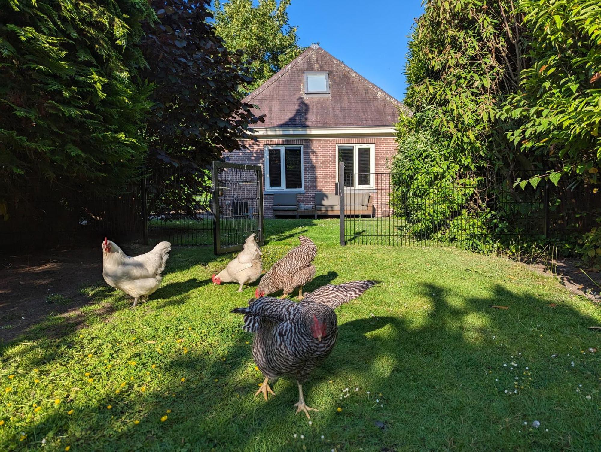 Boutique B&B Villa Van Voss Etten-Leur Luaran gambar